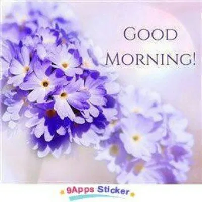 farheen sadia. profile