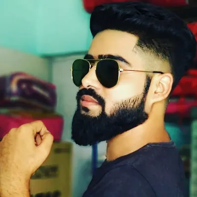 SagAr walia profile