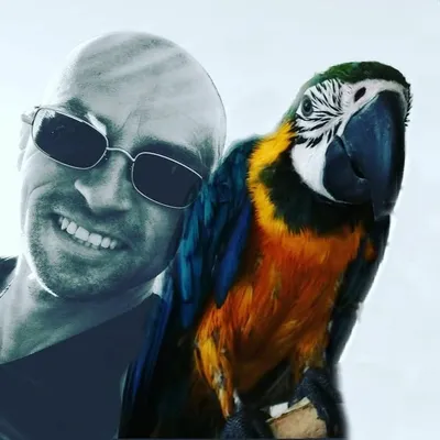 MACAW & ME profile