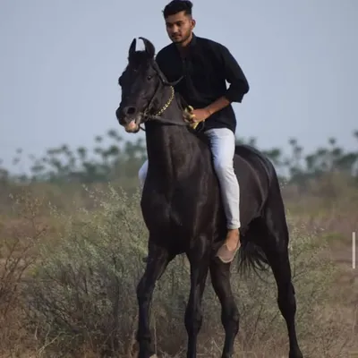 Sahilkhan Baloch profile