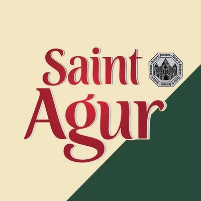 Saint Agur profile