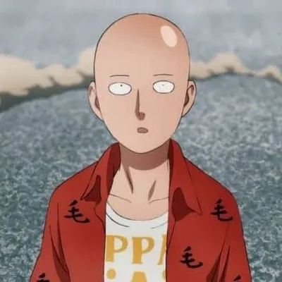 Saitama Jutsu profile