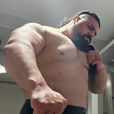 iranian hulk profile