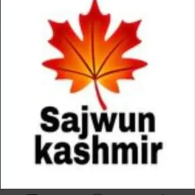 ❤️SAJWUN KASHMIR❤️ profile
