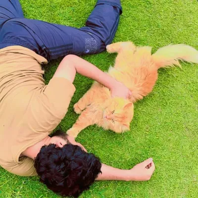 ثاقب sʌ ʞ ıʙ profile