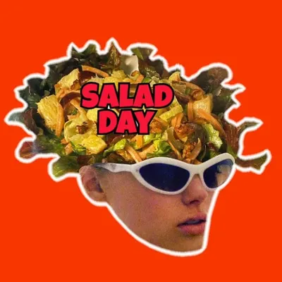 💖✨Salad Day ✨💖 profile