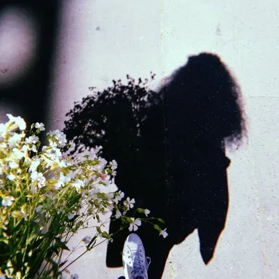 Sallidée profile