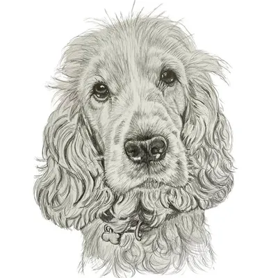 SallyLeahArt profile