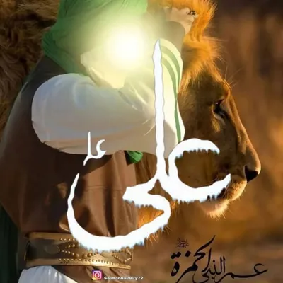 salman haidry profile