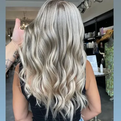 Langhaar- & Blond-Experten profile