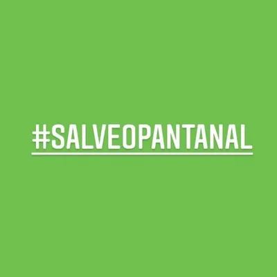 Salve o Pantanal profile