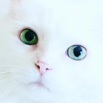 سام profile