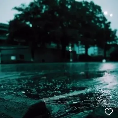 -THE PLUVIOPHILE - profile
