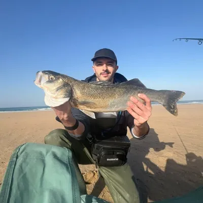 Samadi Fishing | Spinning and jigging inshore profile