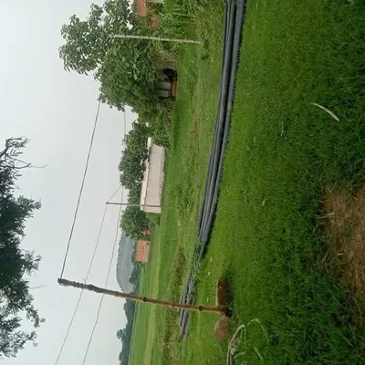 samarjeet yadav profile