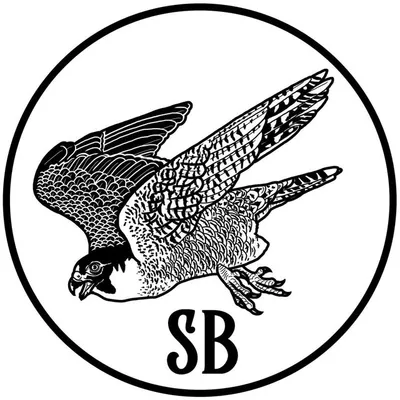 Sami Bayly profile