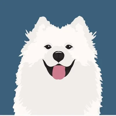 Fluffy Samoyed Dogs profile