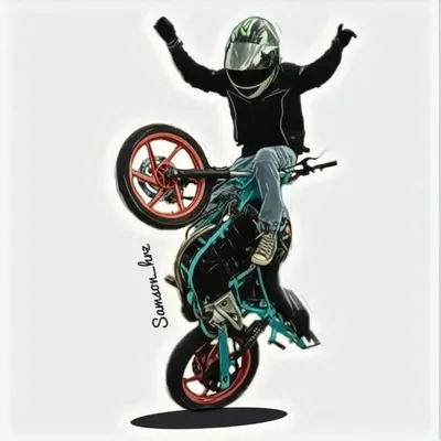 Samson HRz (stunt rider) profile