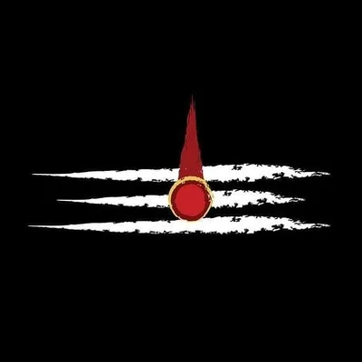 सनातनी फौज🚩 profile