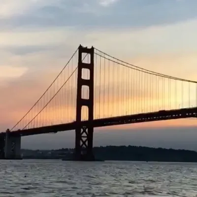 San Francisco Now & Forever profile