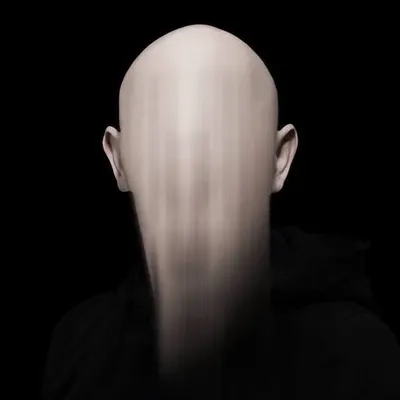 GUSTAV WILLEIT profile