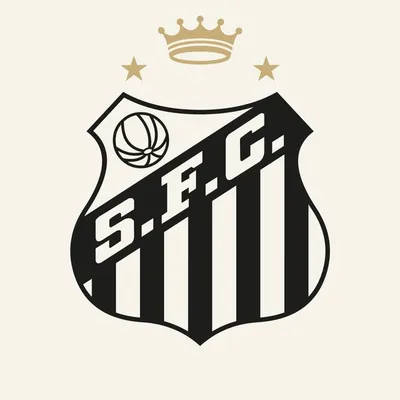 Santos Futebol Clube profile