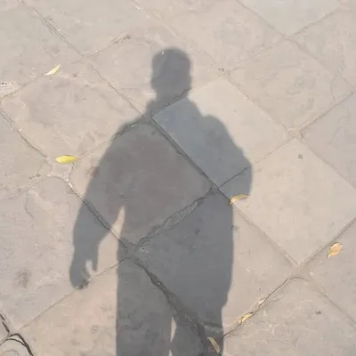 Santanu Das profile