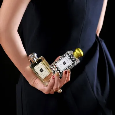 S.A.N.Y ๐ฒ๐จ profile