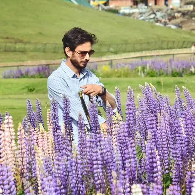 Saqib Majeed profile