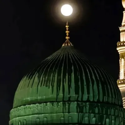 saqlaini __king profile