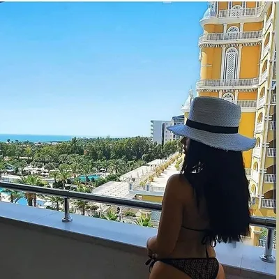 profile