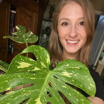 Sarah Michelle Wright profile