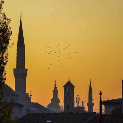 Sarajevo profile