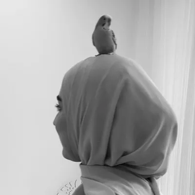 سارا محمود | SMK profile
