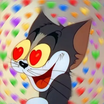 Wholesome×Baazi