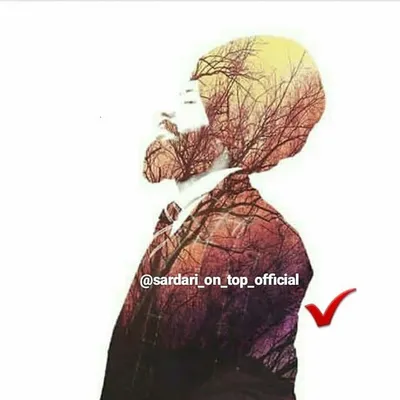 ๐ฉ๐๐(Sardari On Top) profile