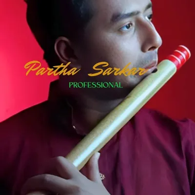 Partha Sarkar profile