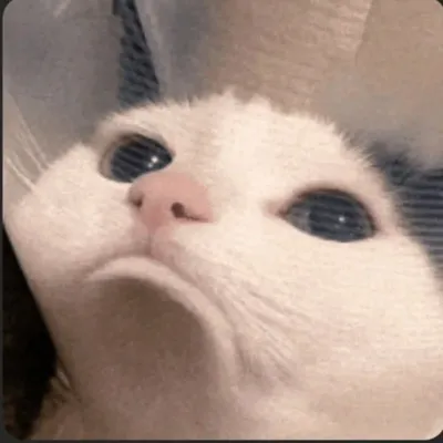ʞɐɥʇɹɐS profile