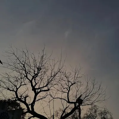 सार्थक सैणी 🚩 profile