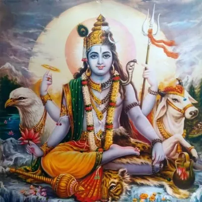 SARVAM ๐๏ธ profile