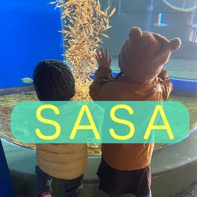 ささ／栄養満点！簡単ごはんレシピ Instagram profile photo