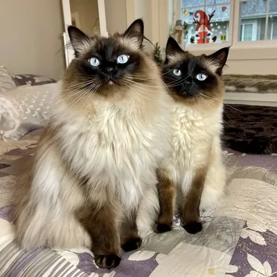 Sasha & Logan profile
