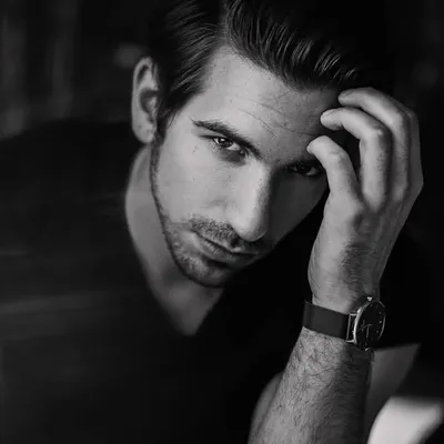 SASCHA WEHLT profile