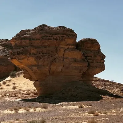 جيولوجية السعودية profile