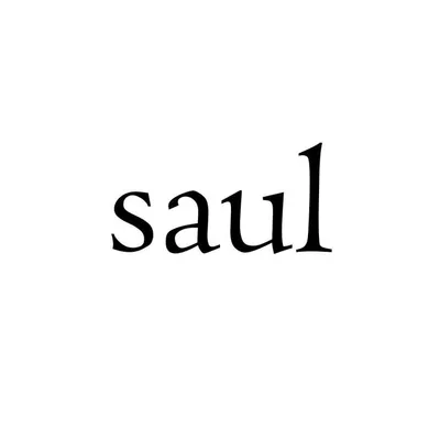 saul profile