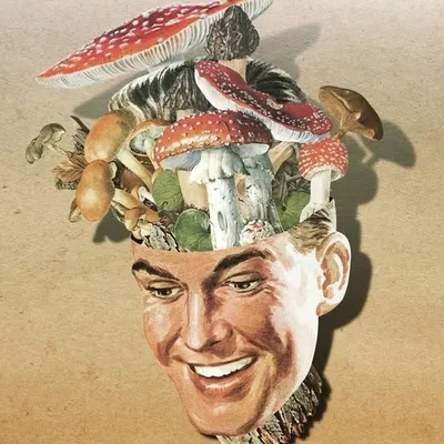Saul Schuster profile