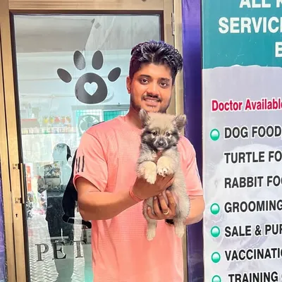 Saurabh Verma | Dogs | Cats | Birds🐶 profile