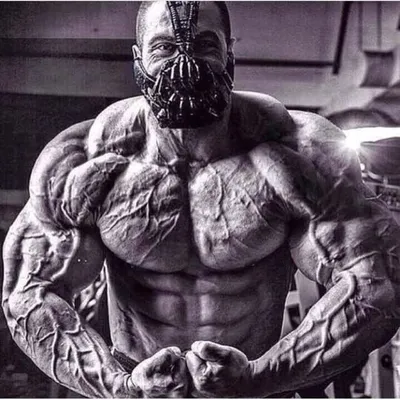 Savage Motivation ⚡️ profile
