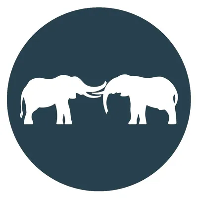 Save the Elephants profile