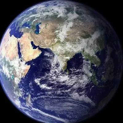 SAVING MOTHER NATURE profile